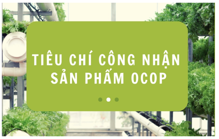 Các sản phẩm OCOP của Thanh Chương. Bài 1: OCOP là gì và những tiêu chí để được công nhận là sản phẩm OCOP.